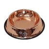 Premium Stainless Steel Non-Slip Pet Food Bowl with Elegant Bronze Finish