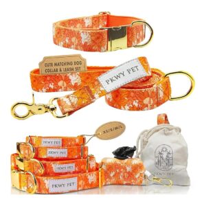 Premium Sunset Avenue Dog Collar and Leash Set with Waste Bag for Small Dogs