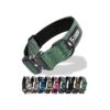 Premium Thick Dog Collar with USA Flag Patch for Small to Extra Large Dogs Green-L