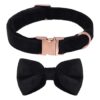 Premium Velvet Dog Collar with Bow Tie and Metal Buckle for Small Medium Large Pets