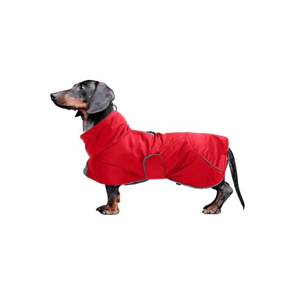 Premium Waterproof Dog Coat with Contoured Shape for Dachshunds Weiner Dogs