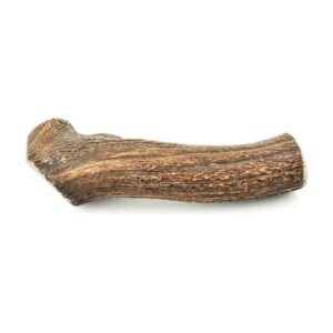 Premium Whole Elk Antlers for XL Breed Dogs - No Chemicals, No Preservatives