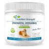 Prenatal Vitamins for Pregnant Dogs Support Healthy Puppies and Milk Production