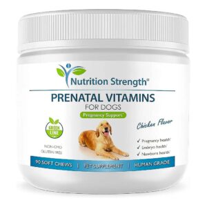 Prenatal Vitamins for Pregnant Dogs Support Healthy Puppies and Milk Production