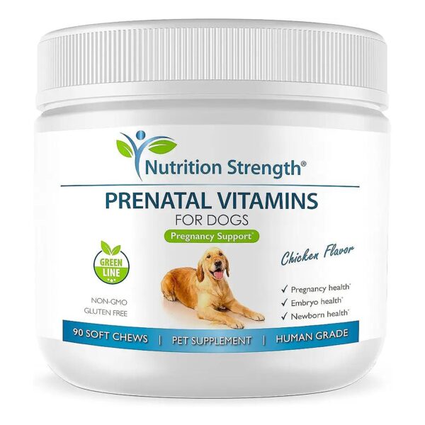 Prenatal Vitamins for Pregnant Dogs Support Healthy Puppies and Milk Production