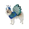 Pretty Peacock Pet Costume for Medium-Sized Dogs with Plush Detail