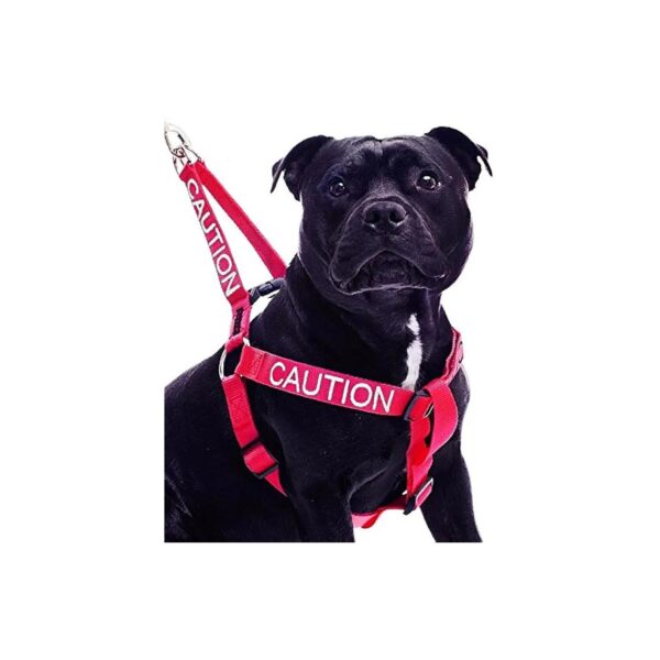 Prevent Accident Non Pull Nylon Dog Harness with Red Color Coded Warning Size L