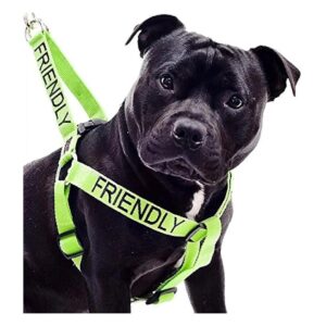 Prevent Accidents with Green Friendly Dog Harness for X-Large Chest Girth 61-92cm