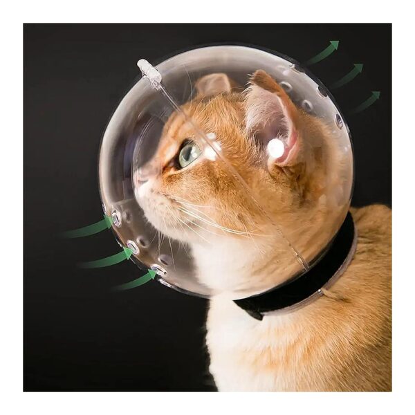 Prevent Cat Biting and Chewing with Medium Resin Transparent Muzzle Adjustable