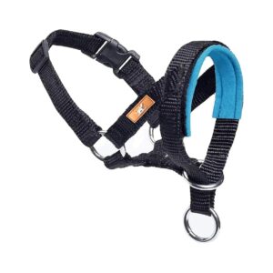 Prevent Pulling Head Collar for Small Medium Large Dogs Walking