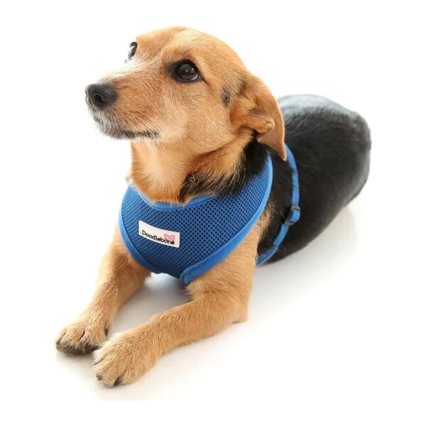 Preventing Bruising with Padded Airmesh Dog Harness for Small Dogs