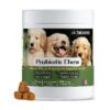 Probiotic Chews for Dogs, Gut Health, Diarrhea Prevention, Seasonal Allergies Relief