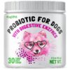 Probiotic Chews for Dogs with Digestive Issues and Allergy Relief