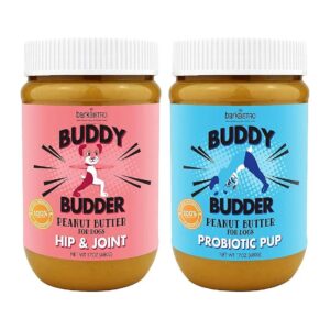 Probiotic Peanut Butter with Blueberries for Canine Gut Health