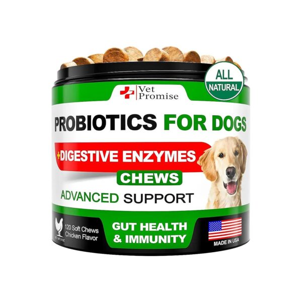 Probiotics for Dogs, Natural Relief from Digestive Issues, Allergies and Skin Problems