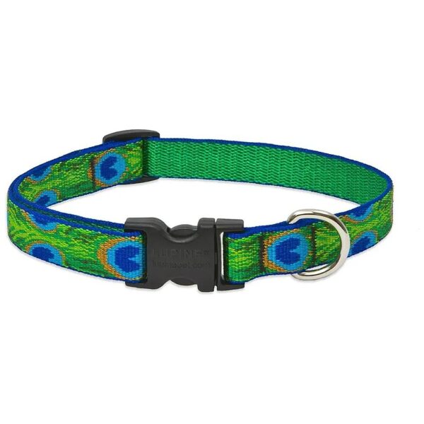 Professional Designs and Construction for Our Adjustable Collar for Small Dogs