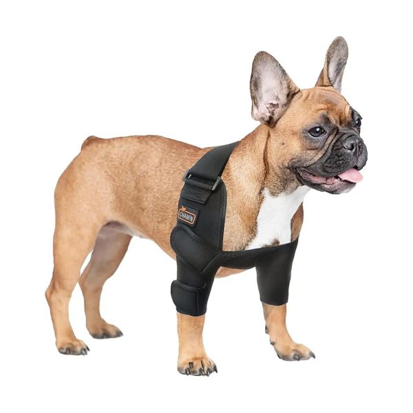 Professional Dog Elbow Support Pads for Chronic Elbow Conditions and Wound Healing