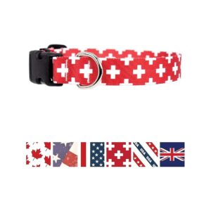 Professional-Grade Dog Collar with Acetal Buckle and Permanently Bonded Printing