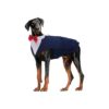 Professional-Grade Dog Formal Tuxedo for Wedding, Birthday, and Halloween Celebrations