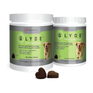 Promote Healthy Joints in Dogs with Sustainable, Gluten-Free Ingredients