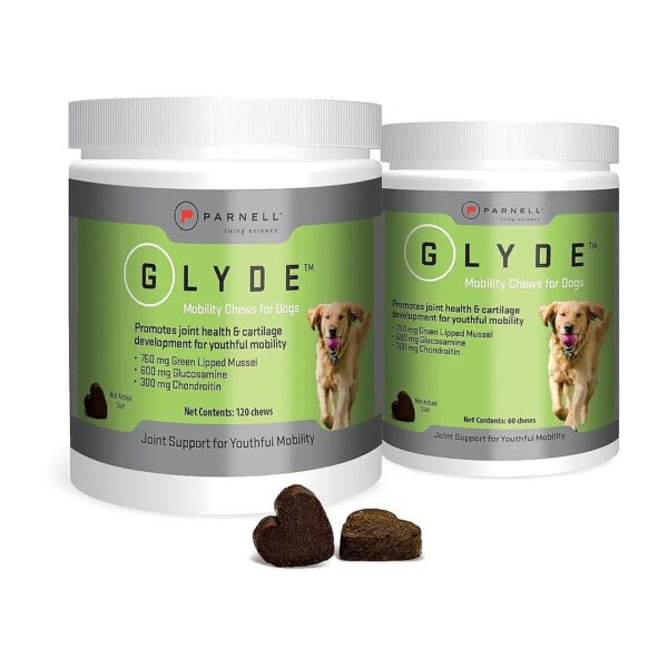 Promote Healthy Joints in Dogs with Sustainable, Gluten-Free Ingredients