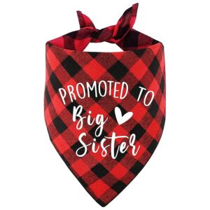 Promoted to Big Sister, Photo Prop, and Pregnancy Announcement Accessory for Dog Lovers