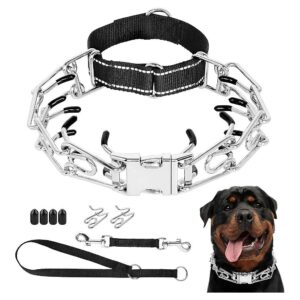 Prong Collar for Large Medium Small Dogs with Reflective Martingale Design