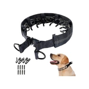 Prong Collar for Small to Large Dogs with Reflective Edge and Rubber Tips for Comfort