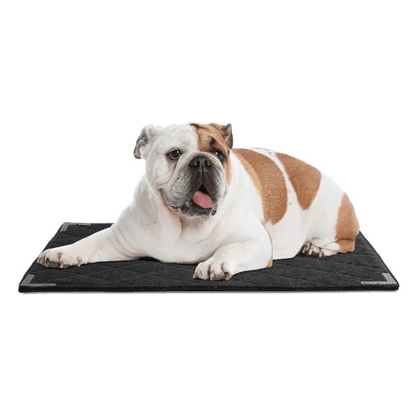 Proof Dog Bed with Metal Edges and Polyester Fabric