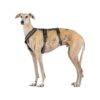 Proof Harness with Anti-Pull Function for Whippets Italian Greyhound Greyhound Podenco