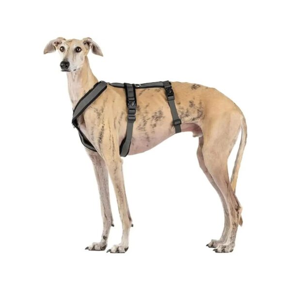 Proof Harness with Anti-Pull Function for Whippets Italian Greyhound Greyhound Podenco