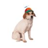 Propeller Dog Hat for Small to Medium Breeds, Multicolor