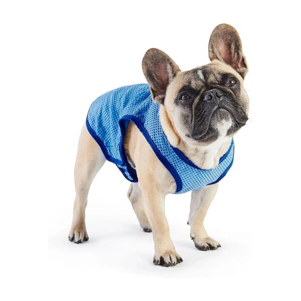 Protected Elasto-Fit Dog Vest for Large Pets with Cooling Technology