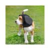 Protecting Dog Ears from Muddy Wet Weather with Waterproof Ear Covers for Long Eared Dogs