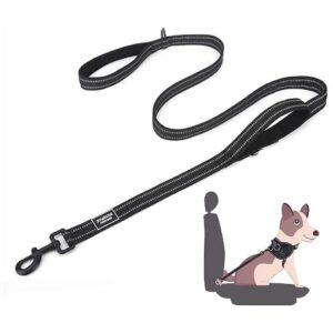 Protective 2-In-1 Pet Safety Seatbelt and Leash with Reflective Safety Stitching