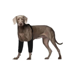 Protective Dog Recovery Sleeve for Front Legs Wounds and Skin Conditions