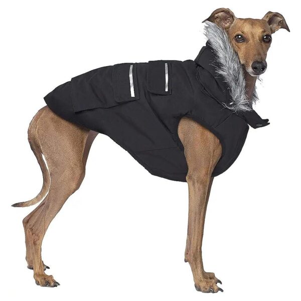 Protective Dog Winter Coat with Water-Resistant Outer Shell and