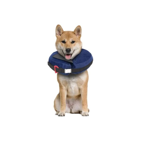 Protective Inflatable Collar with Calming Disc for Dogs