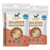 Protein All-Natural Freeze Dried Salmon Treats for Dogs All Life Stages