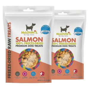 Protein All-Natural Freeze Dried Salmon Treats for Dogs All Life Stages