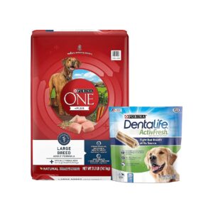 Protein-Rich Chicken Formula Dog Food and Dental Chews Bundle for Large Breed Adults