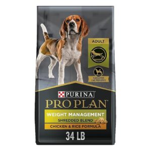 Protein-Rich Dog Food for Adult Weight Management and Muscle Maintenance