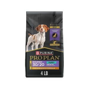 Protein-Rich Puppy Food with Omega-3 Fatty Acids for Hip and Joint Support