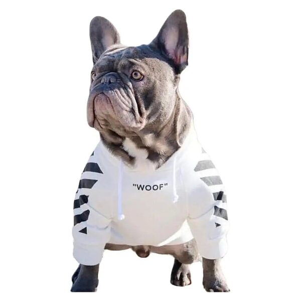 Pug, and English Bulldog Hoodie for Comfortable and Cozy Winter Wear