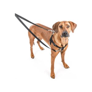 Pull Dog Harness Training Package Navy Medium 1 Wide