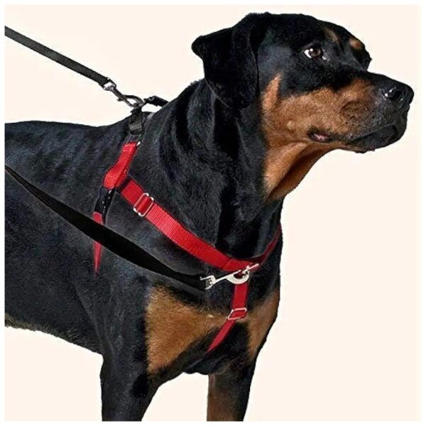 Pull Dog Harness Training Package for Large Breeds with Lifetime Warranty