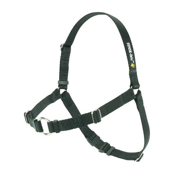 Pull Dog Harness in Black for Medium to Large Dogs