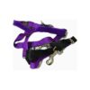 Pull Dog Harness with Leash Medium Purple for Small to Medium Breeds