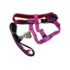 Pull Dog Harness with Leash X-Small