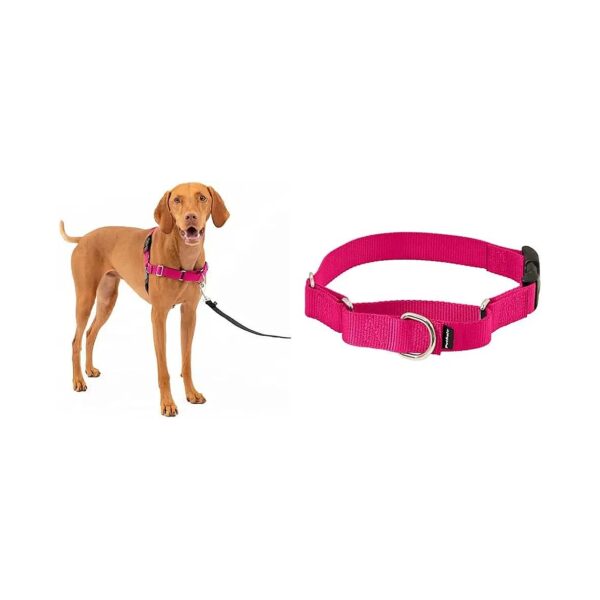 Pull Dog Harness with Martingale Loop and nylon Collar for Comfortable Walks